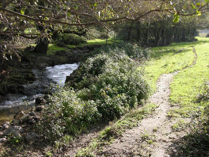 Quinta De Luna Villa Valencia de Alcantara Bagian luar foto